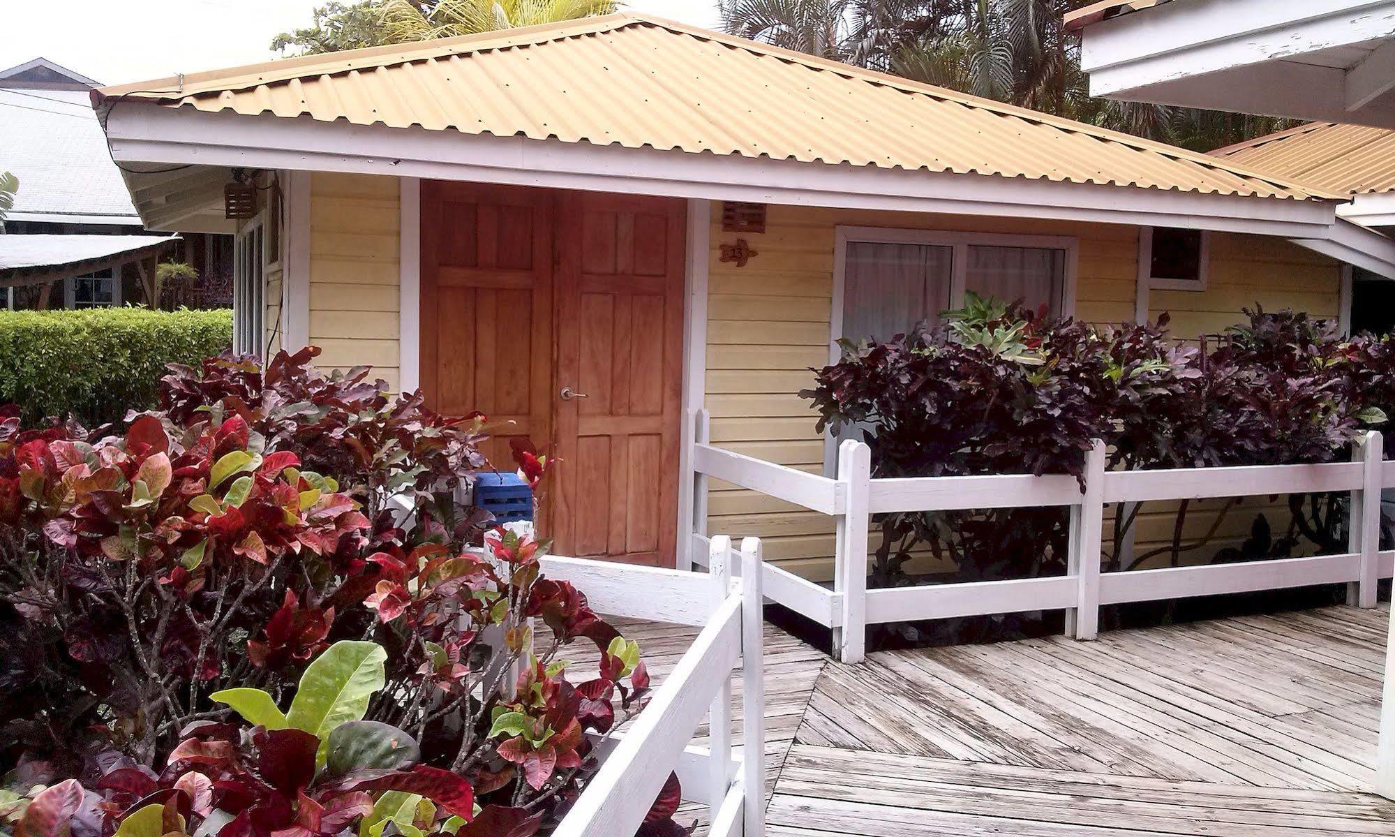 Las Palmas Beach Hotel Dixon Cove Экстерьер фото