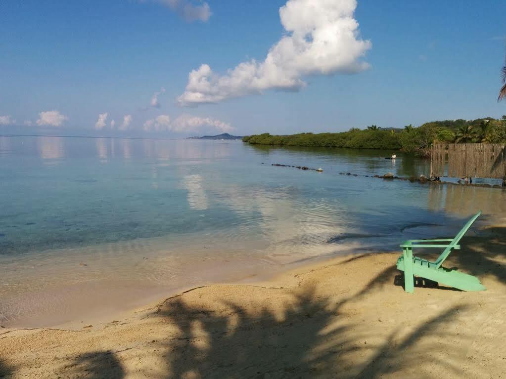 Las Palmas Beach Hotel Dixon Cove Экстерьер фото